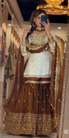 Elegance in Traditional Attire Unveiled