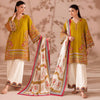 Graceful Suit and Dupatta for Special Occasions