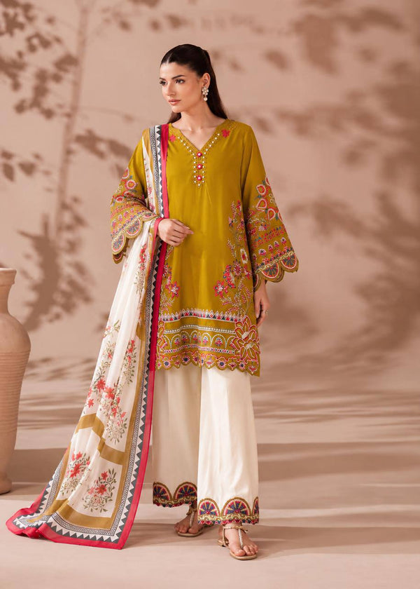 Graceful Suit and Dupatta for Special Occasions