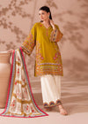 Graceful Suit and Dupatta for Special Occasions