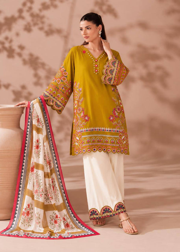 Graceful Suit and Dupatta for Special Occasions