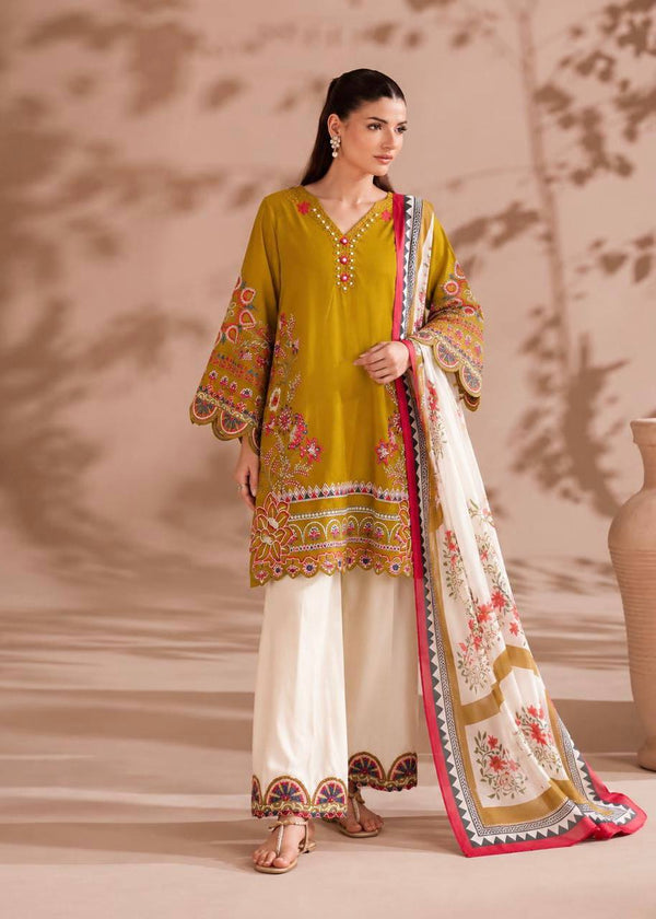 Graceful Suit and Dupatta for Special Occasions