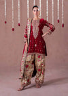 Exquisite Red and Gold Pakistani Elegance