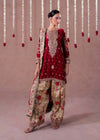Exquisite Red and Gold Pakistani Elegance