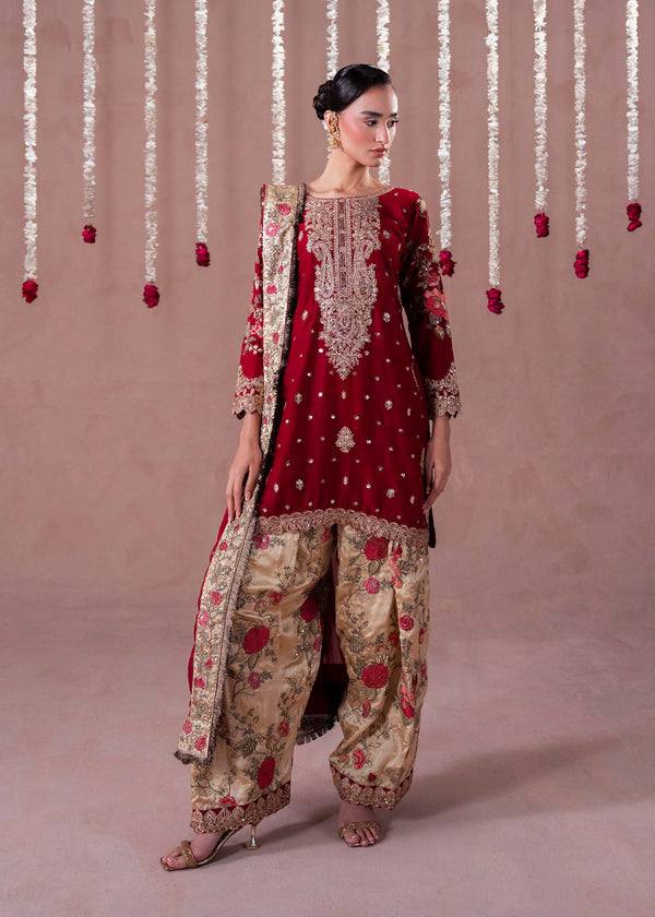 Exquisite Red and Gold Pakistani Elegance
