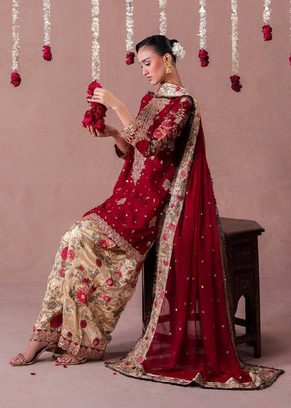 Exquisite Red and Gold Pakistani Elegance