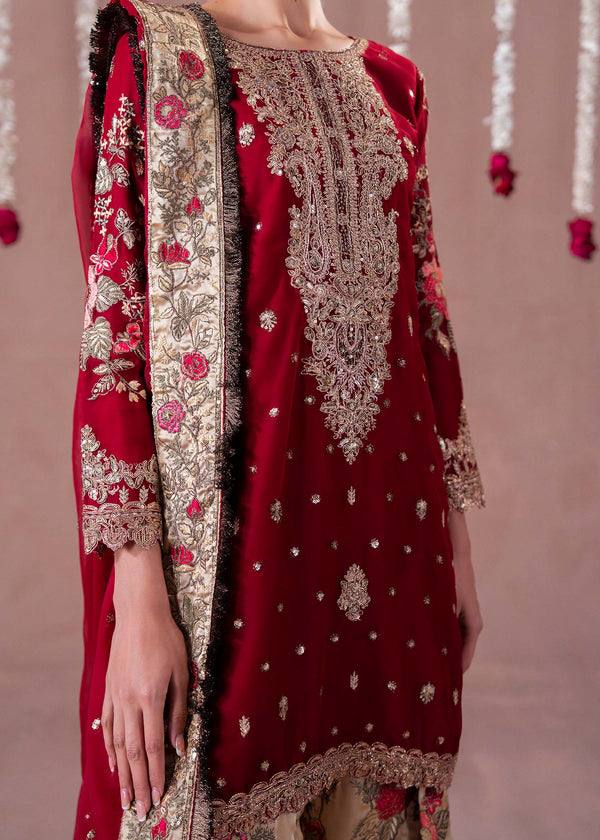 Exquisite Red and Gold Pakistani Elegance
