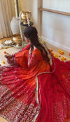 Radiant Beauty in Rich Cultural Colors