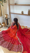 Radiant Beauty in Rich Cultural Colors