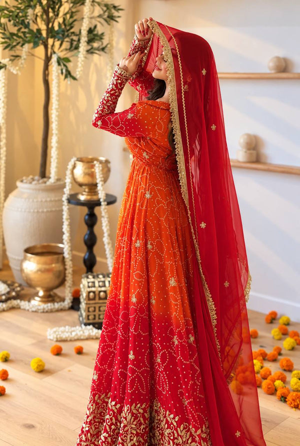 Radiant Beauty in Rich Cultural Colors