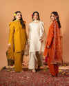 Timeless Elegance Indian Heritage Attire