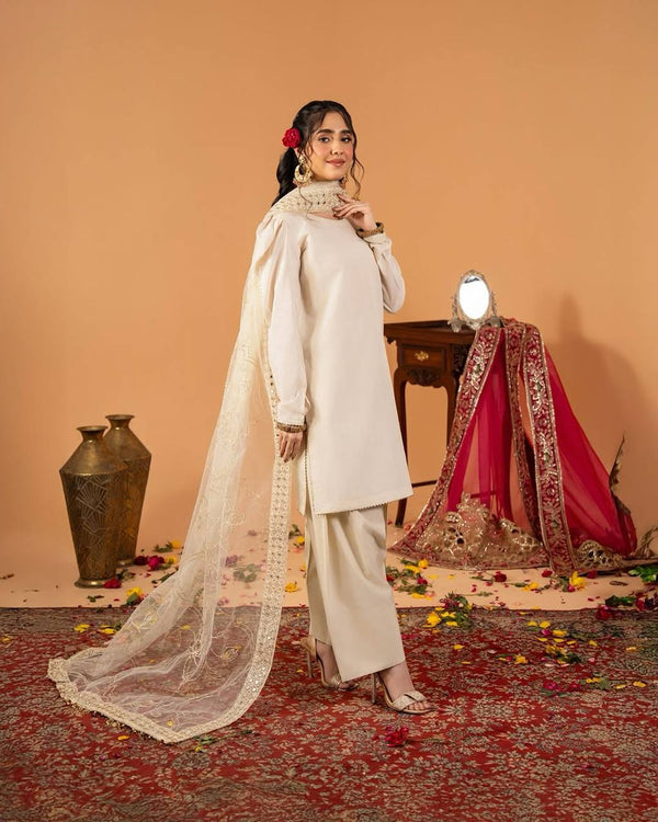 Timeless Elegance Indian Heritage Attire