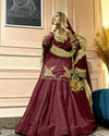 Regal Zari and Stone Embellished Hand work
