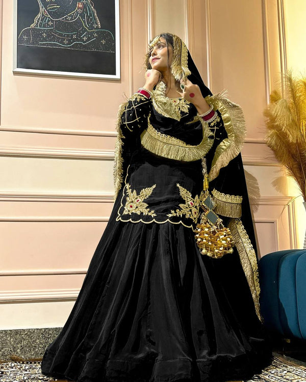 Regal Zari and Stone Embellished Hand work