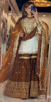 Elegance in Traditional Attire Unveiled
