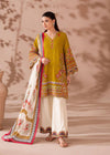 Graceful Suit and Dupatta for Special Occasions