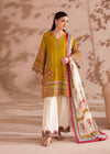 Graceful Suit and Dupatta for Special Occasions