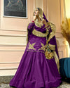 Regal Zari and Stone Embellished Hand work