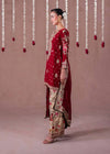 Exquisite Red and Gold Pakistani Elegance