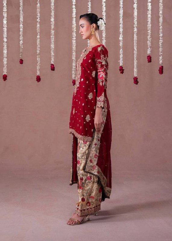 Exquisite Red and Gold Pakistani Elegance