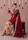 Exquisite Red and Gold Pakistani Elegance