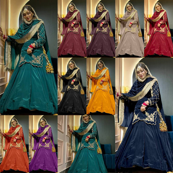 Regal Zari and Stone Embellished Hand work
