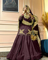 Regal Zari and Stone Embellished Hand work