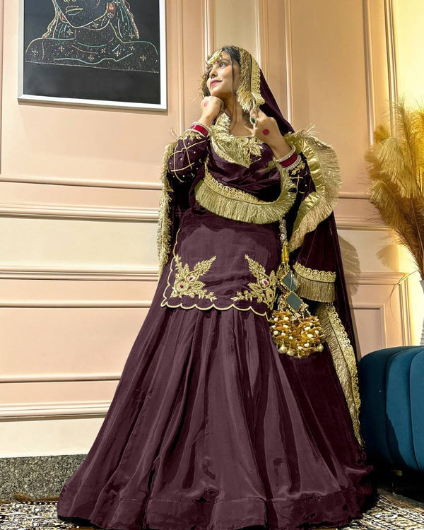 Regal Zari and Stone Embellished Hand work